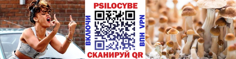 Галлюциногенные грибы GOLDEN TEACHER  mega tor  Владимир 